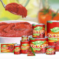 Máquina de procesamiento de salsa de tomate comercial